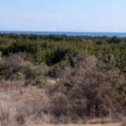 ヒメ日記 2026/03/11 12:58 投稿 えみり 仙台人妻セレブリティー