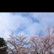 ヒメ日記 2026/04/06 09:12 投稿 えみり 仙台人妻セレブリティー