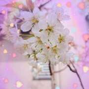 ヒメ日記 2026/03/20 14:09 投稿 好子 越谷熟女デリヘル マダムエプロン