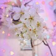 ヒメ日記 2026/03/20 14:17 投稿 好子 越谷熟女デリヘル マダムエプロン