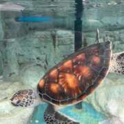 ヒメ日記 2025/02/14 12:58 投稿 さく 熟女家 堺東店