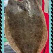 ヒメ日記 2025/02/17 12:57 投稿 さく 熟女家 堺東店