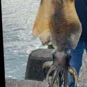 ヒメ日記 2025/06/16 09:08 投稿 さく 熟女家 堺東店