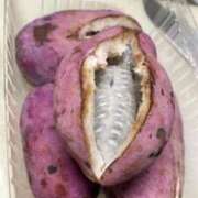 さく これ何かわかります？？？笑 熟女家 堺東店