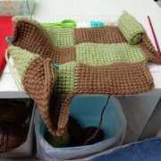 ヒメ日記 2024/12/31 16:01 投稿 あかり ギン妻パラダイス 堺東店