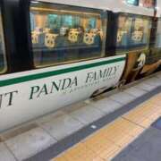 ヒメ日記 2025/04/12 14:58 投稿 あかり ギン妻パラダイス 堺東店