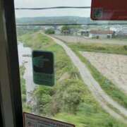 ヒメ日記 2025/05/01 10:50 投稿 あかり ギン妻パラダイス 堺東店