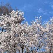 ヒメ日記 2026/03/25 20:14 投稿 ゆり ラブライフ所沢川越