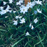 アカリ 本日 びしょぬれ新人秘書