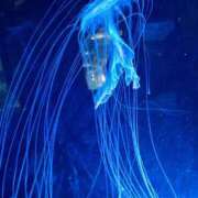 ヒメ日記 2025/03/16 23:06 投稿 まゆ 一宮稲沢小牧ちゃんこ