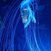 ヒメ日記 2025/03/16 23:24 投稿 まゆ 一宮稲沢小牧ちゃんこ