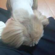 ヒメ日記 2025/03/20 22:42 投稿 まゆ 一宮稲沢小牧ちゃんこ