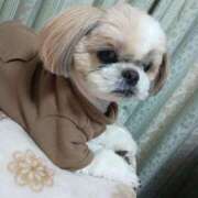 ヒメ日記 2025/03/22 22:24 投稿 まゆ 一宮稲沢小牧ちゃんこ