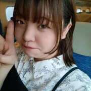 ヒメ日記 2025/04/15 12:24 投稿 まゆ 一宮稲沢小牧ちゃんこ