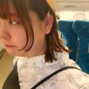 ヒメ日記 2025/04/16 16:49 投稿 まゆ 一宮稲沢小牧ちゃんこ