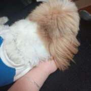 ヒメ日記 2025/05/04 23:45 投稿 まゆ 一宮稲沢小牧ちゃんこ