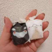 ヒメ日記 2025/05/26 18:13 投稿 まゆ 一宮稲沢小牧ちゃんこ