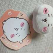 ヒメ日記 2025/06/06 17:24 投稿 まゆ 一宮稲沢小牧ちゃんこ