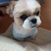 ヒメ日記 2025/07/22 17:59 投稿 まゆ 一宮稲沢小牧ちゃんこ