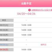 ヒメ日記 2026/04/20 19:54 投稿 まゆ 一宮稲沢小牧ちゃんこ