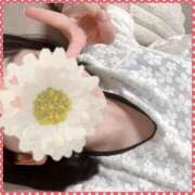 ヒメ日記 2025/02/04 19:21 投稿 双葉　あん NADIA京都店