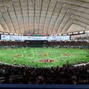 ヒメ日記 2025/08/11 14:56 投稿 双葉　あん NADIA京都店