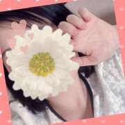 ヒメ日記 2025/08/15 22:06 投稿 双葉　あん NADIA京都店