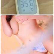 ヒメ日記 2024/12/15 12:28 投稿 夏輝真実 五十路マダム 愛されたい熟女たち 高松店