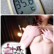 ヒメ日記 2025/04/01 11:32 投稿 夏輝真実 五十路マダム 愛されたい熟女たち 高松店