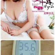 ヒメ日記 2025/05/11 14:00 投稿 夏輝真実 五十路マダム 愛されたい熟女たち 高松店