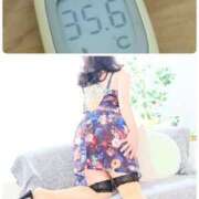 ヒメ日記 2025/08/02 10:26 投稿 夏輝真実 五十路マダム 愛されたい熟女たち 高松店