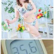 ヒメ日記 2025/08/27 11:36 投稿 夏輝真実 五十路マダム 愛されたい熟女たち 高松店