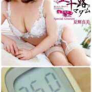 ヒメ日記 2025/09/06 11:38 投稿 夏輝真実 五十路マダム 愛されたい熟女たち 高松店