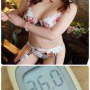 ヒメ日記 2026/06/14 11:52 投稿 夏輝真実 五十路マダム 愛されたい熟女たち 高松店