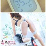 ヒメ日記 2026/09/16 11:26 投稿 夏輝真実 五十路マダム 愛されたい熟女たち 高松店