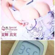 ヒメ日記 2026/09/19 11:30 投稿 夏輝真実 五十路マダム 愛されたい熟女たち 高松店