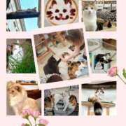 ヒメ日記 2025/02/18 11:54 投稿 すみれ テコキナーゼ