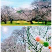 ヒメ日記 2025/04/01 11:52 投稿 すみれ テコキナーゼ