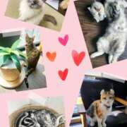 ヒメ日記 2025/06/03 11:37 投稿 すみれ テコキナーゼ