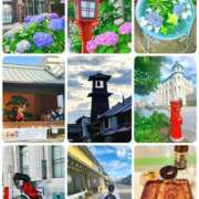 ヒメ日記 2025/06/17 11:54 投稿 すみれ テコキナーゼ