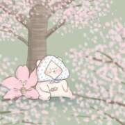 ヒメ日記 2025/04/02 23:30 投稿 水崎良香 五十路マダム 岐阜店