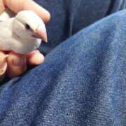 ヒメ日記 2025/04/29 21:58 投稿 水崎良香 五十路マダム 岐阜店