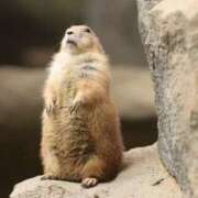 ヒメ日記 2025/05/11 14:06 投稿 水崎良香 五十路マダム 岐阜店