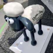 ヒメ日記 2025/05/25 21:56 投稿 水崎良香 五十路マダム 岐阜店