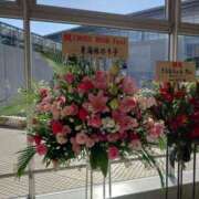 ヒメ日記 2025/11/15 23:18 投稿 水崎良香 五十路マダム 岐阜店