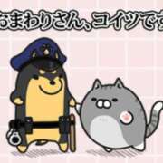 ヒメ日記 2025/12/28 16:16 投稿 水崎良香 五十路マダム 岐阜店