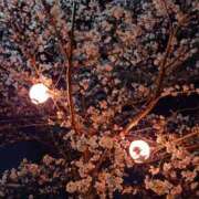 ヒメ日記 2026/03/28 08:46 投稿 水崎良香 五十路マダム 岐阜店