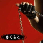 ヒメ日記 2025/02/01 11:51 投稿 さくらこ 絶対服従！闇鍋会