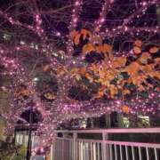 ヒメ日記 2024/12/18 17:15 投稿 あきな 品川ミセスアロマ（ユメオト）