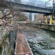 ヒメ日記 2025/04/02 17:55 投稿 あきな 品川ミセスアロマ（ユメオト）
